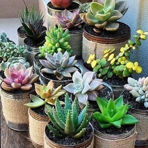 Meet your Posher, Carly